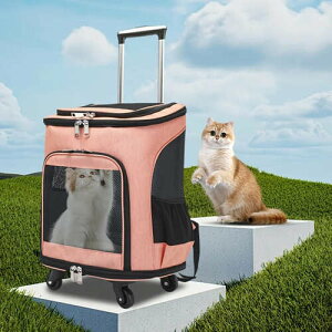 ybgL[J[g @\ LX^[t ܂肽ݎ bV ʋC o  d hCu Lv ybgpi ObY ANZT  ^ L qL    O 