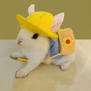 うさぎ 小動物用 ハーネス 帽子 セット 幼稚園 かわいい うさんぽ 散歩 おしゃれ 韓国 ハット 服 ポーチ コスプレ 斜めがけ 着脱簡単 スモック ワンピース モルモット チンチラ おもしろ コス