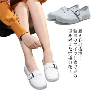 [t@[ fB[X ꂢ RtH[gV[Y Xb| U[ Xj[J[ V[Y hCu ₷ ʋ C C bL L ɂȂ Ȃ Ȃ Mtg 