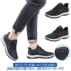 hV[Y 24.5`27cm Xj[J[ Jp J Y ʊw jp h  䕗 ʋ y EH[LOV[Y i JWAV[Y ^C   WMO t  