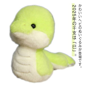 ւ  킢 ʂ N ߘa7N  40cm ʂ wr 2025N ւ VN N x  wr̐Ԃ o^Cf[ qǂ a v[g