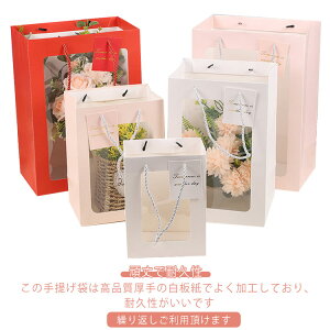 Mtgg[gobO 20Zbg yY t nht 蕨 񂰎 MtgobO bsO Mtg  18x13x25cm VN LO ̓ j v[g 15x10x20