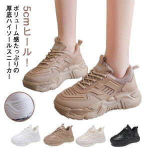 Xj[J[ X|[c Xj[J[ V[Y fB[X EH[LOV[Y _bhXj[J[ Cq[ V[Y ₷ 5cm Ȃ ɂȂ Xj[J[ C  Xj