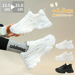 _bhXj[J[ Xj[J[ fB[X bVf ؍ _bhXj[J[ q[5.3cm 6.5rAbv C Xj[J[ fB[X _bhV[Y [Jbg {[̂ 