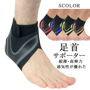 1iБjT|[^[ Œ ALXF T|[^[ ؓی ֐ x X|[cp l̍Hw̌ e ߉\Ȉ̓oh EȒP ʋC jp X|[c p