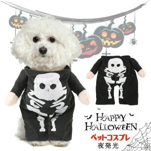 nEB  ybgp RX`[ XPg    RXv ʔ ybg RXv  L q  XJp^[