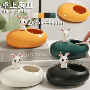 DM DM   ̃ETM CeA Z~bN  qObY ItBX zDM I ^oRi jv[g Mtg u