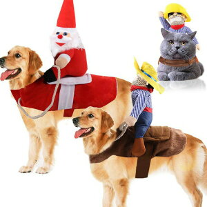  L NX}X T^ hbOEFA RX`[ LbgEFA ybgpi ybgObY ^ ^ ^ T^RXv T^ H ~ 낢 