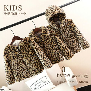 єR[g t@[R[g q LbY ̎q j̎q V[g t[ht tFCNt@[ 3^Cv qE g h   AE^[ ~ H~ ct w ۈ牀 ct