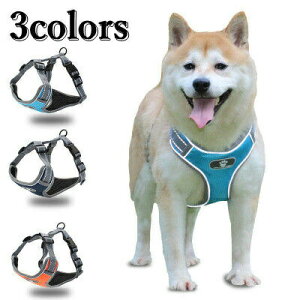  n[lX[h n[lX[hZbg  n[lX [h Ck hbO dog ˃GbW ^ p ybgp U o ȒP V 