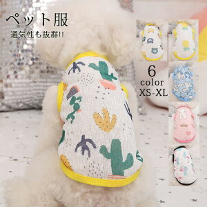     ^Ngbv ʋC ă^N  T{e hbOEFA  ̕ TVc pXe Jt 킢 ₷ ^ ^ U oEFA 