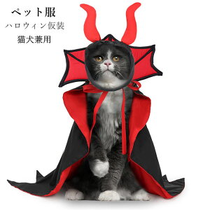 nEB ybgp RXv }g  L RX`[ Lp蕨 zSɕϐg RXvObY ϐg NX}X a nEB ʐ^ lC LOBe