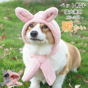 LpXq pXq ybgXq }t[ ybgpi g h 蕨 Lp ӂӂ t Lp 