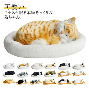 ċzĖ郊AȔL̂ʂ ˂ ʂ A {  ybg ₷▰ ㉺  ybgX xbht AM[   Aj}  Aj}