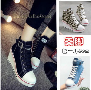  q[Xj[J[ 8Z` EFbWq[Xj[J[ fB[X V[Y r nCq[ t  H ~C JWAV[Y p qE fjɂȂ22.5cm`26.5cm