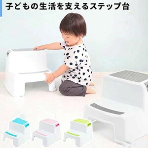 ݑ q qǂ 2i i Xebv c ǂ gC  ω׏d90kg (O[)