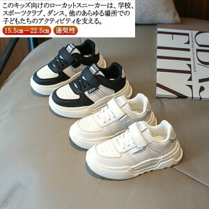  Xj[J[ qV[Y LbY WjA qbvzbv  q _XXj[J[  }WbNe[v ʋC JWAV[Y tďH qC _XV[Y Xj[J[ i 