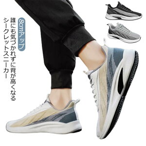 V[NbgV[Y 8cmAbv zF V[NbgXj[J[ Y bV Xj[J[ jbgXj[J[ Cq[Xj[J[ wȂC 8cm gAbv y y ʋC _炩 