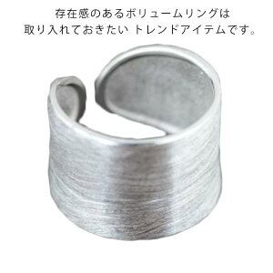  {[O CpNgO w O d˕t IVO 傫߃O 925Vo[O t[TCY jp Ԃ  JWA v[g Mtg