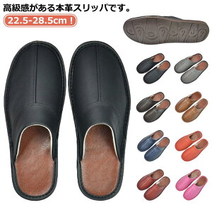 U[ ׂȂ U[  jZbNX I[V[Y T_ [V[Y  v  Ɩp Vv qpXbp  㗚 {v Ȃ [