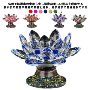 C @̉ [\N @  lH X^h  LhX^h XC  O @ dp @v  ~  ފ  O