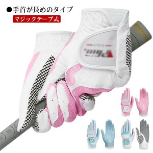 St O[u fB[X  fB[X 2Zbg 1yA fB[Xp EZbg  }WbNe[v fB[XpStO[u