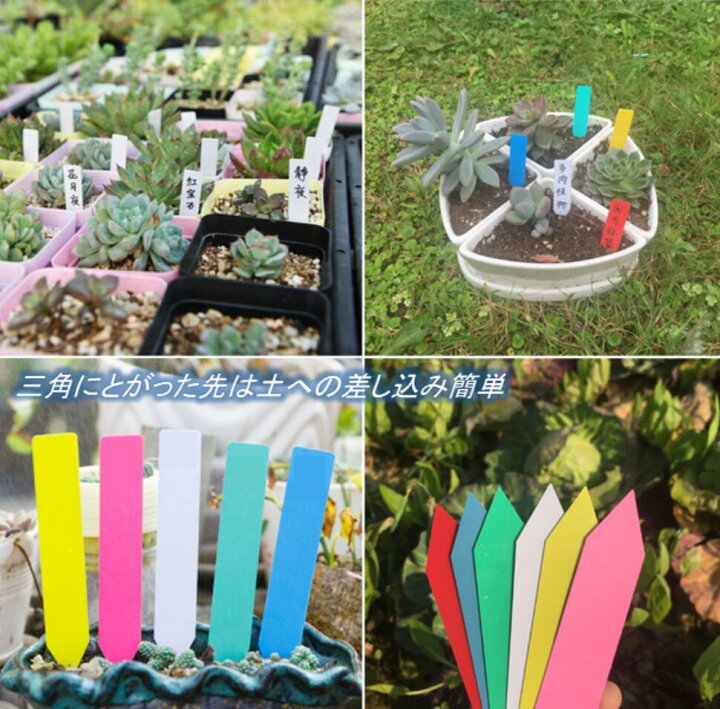 0枚 園芸用ラベル 日焼け止め 植物ラベル 苗吊りタグ 防水 園芸ラベル 植物タグ 植物識別 0枚 園芸用ラベル 日焼け止め 植物ラベル 苗吊りタグ 防水 園芸ラベル 植物タグ 植物識別