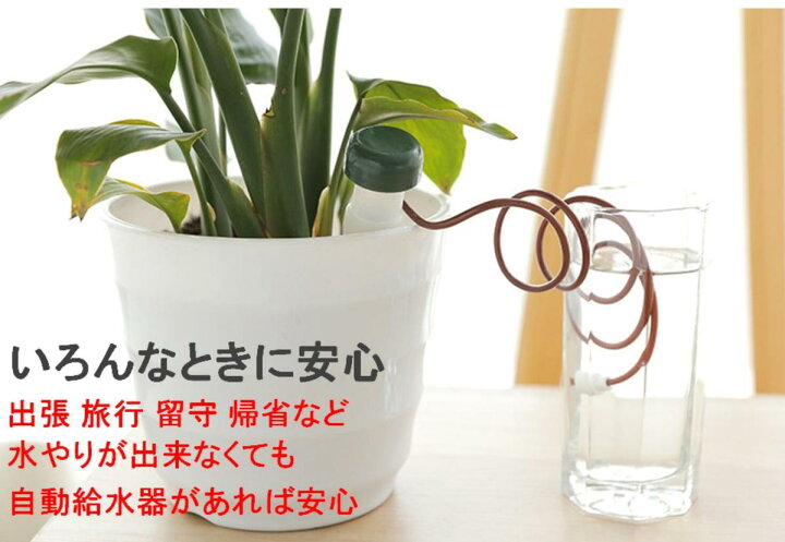 楽天市場 簡単 水やり セット 自動給水器 16個 自動水やり ホース 留守 旅行 植物 鉢植え 盆栽 野菜 花 植木鉢 植物ポット 給水 送料無料 Mmk R64 Mind1 マインド ワン