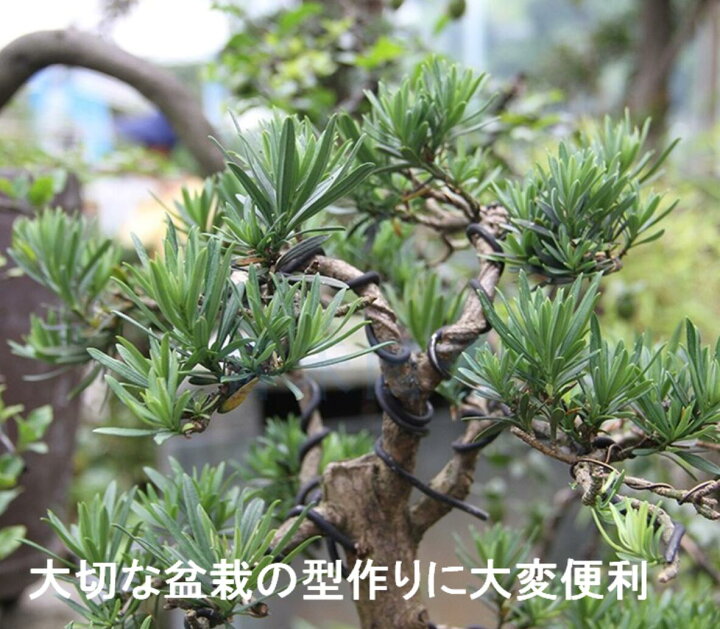 メイルオーダー Kingsie 園芸用アルミ線 盆栽用 針金 3個セット 太さ1mm 1 5mm 2mm 長さ10m 黒 アルミワイヤー クラフト Arizonavmlc Org