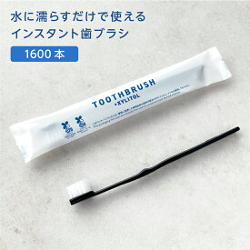 【1600本】 歯ブラシ 使い捨て 業務用 インスタントハブラシ キシリトール配合 個包装 日本製 歯磨き粉付着タイプ PBT毛 アメニティ PBT-08-SPP エコ ECO 環境配慮 ホテル 大容量 まとめ買い フィード