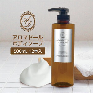 y500ml×12{z {fB\[v g̍ A}h[ _[WeB[̍ yze AjeBz