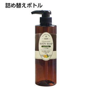 y{gEl֗pz[~h×n[oGNXg gh {fB\[v 500ml y󒍐Yz