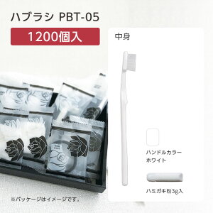 y1200{z ĝ uV nuV PBT-05 zCg   3g[[X ze AjeB Ɩp  { Y h {  e