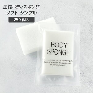 y250z Ɩp g̐ k {fBX|W ĝ  \tg 炩 Vv SGBM RpNg pX|W qi ze AjeB 