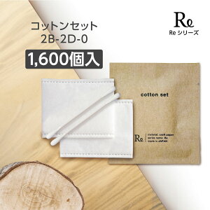 y1600zRbgZbg Rbg Ȗ_ 2B-2D-0 ze AjeB Ɩp Ntg  Re z y󒍐Yz