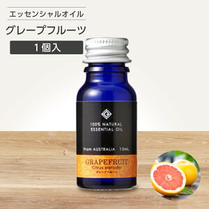 GbZVIC  O[vt[c 10ml A} A}IC [~h GemiD k u₩ t[eB[  F tOX TEi EE