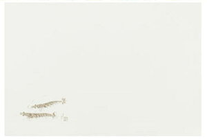 大黒工業 Eタイプテーブルマット(上質紙) 魚シリーズ 100枚 キッチン用品・食器・調理器具・キッチン用品・雑貨・エプロン・ランチョンマット・その他 キッチン用品・食器・調理器具・キ