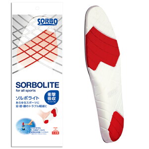 ՌzC\[ DSIS \{Cg V[Y C\[