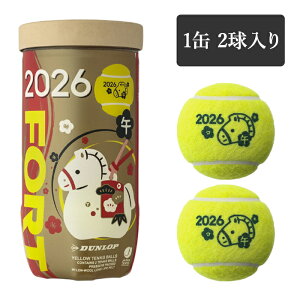 �e�j�X�{�[�� �t�H�[�g FORT �_�����b�v DUNLOP 2026�N���x �ߔN ���ܔN ���x�{�[�� 1�� 2������ ���ł� ���N��