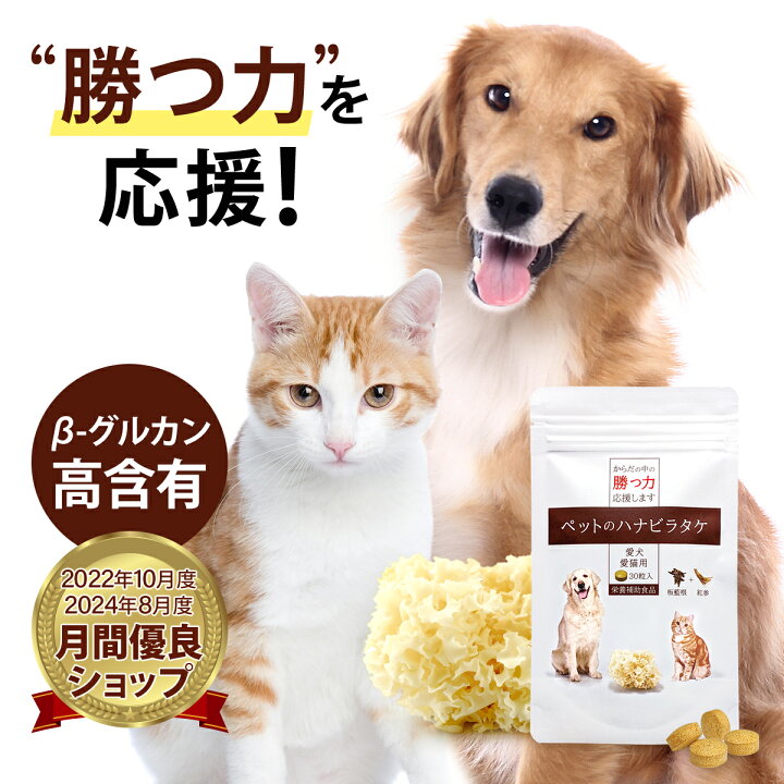 楽天市場】ペットのハナビラタケ/ 犬 猫 サプリメント はなびらたけ 