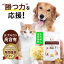 【お試し】ペットのハナビラタケ / 犬 猫 サプリメント サプリ ...