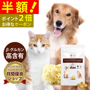 yz!!zy1ƒ2܂Łzy|Cg2{!zybg̃nir^P/  ͂Ȃт炽 L nir^P ybg ybgTv pTv LpTv pTvg Tv ybgTv