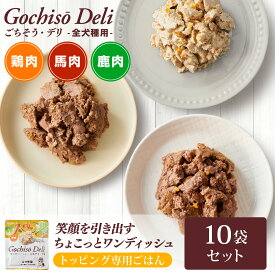【定期購入で5％OFF】ごちそう・デリ 10個セット/ ドッグフード 贅沢 トッピング まとめ買い ハナビラタケ モリンガ 高齢犬 ドックフード シニア 健康 サポート 肉高配合 国産 免疫力 ローテーション シニア犬 柔らかい