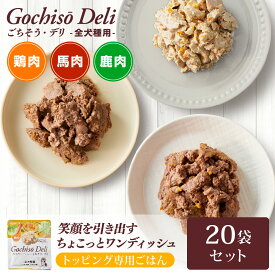 【通常購入3％OFF 定期購入約8％OFF】【20個セット】ごちそう・デリ（ウエットフード）ドッグフードドックフード トッピング ちょい足し ごほうび 免疫力 健康維持 国産 無添加 犬ごはん シニア犬 高齢犬 ドックフード シニア 老犬 保存食 非常食