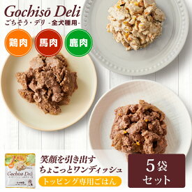 【トッピング専用】【5個セット】ごちそう・デリ（ウエットフード）ドッグフードドックフード トッピング ちょい足し ごほうび ご褒美 免疫力 健康維持 偏食 国産 無添加 犬ごはん 嗜好性 喰いつき シニア犬 高齢犬 ドックフード 老犬 健康ごはん 保存食