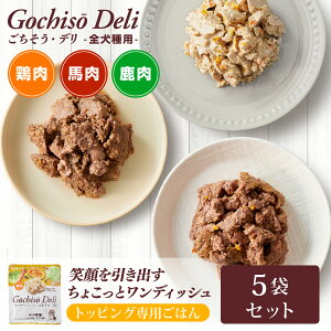 ���������E�f�� 5�Z�b�g/ �h�b�O�t�[�h �ґ� �g�b�s���O �܂Ƃߔ��� �n�i�r���^�P �������K ���N �T�|�[�g �����z�� ���Y �Ɖu�� ��� �h�b�N�t�[�h ���[�e�[�V���� �V�j�A�� �_�炩��