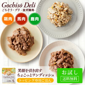 【お試し】【送料無料】ごちそう・デリ（各テイスト1袋づつのセット） / 贅沢 トッピング まとめ買い ドッグフード お試し 定期購入 ハナビラタケ モリンガ 健康 サポート 国産 免疫力 高齢犬 ドックフード シニア シニア犬 フード 柔らかい