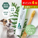 【ポイント4倍】【お得なクーポン】【新商品！】ペットの歯磨き...