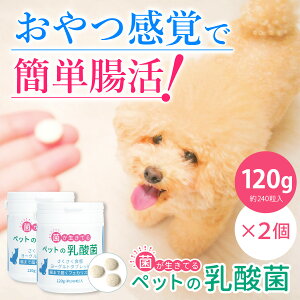 y6OFF!!zybg̓_(120g×2)/ L Tv _ t[  nir^P  tFJX ybgTv pTv ̃Tv LpTv Ɖu  P