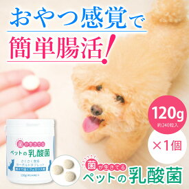 ペットの乳酸菌(120g)/犬 猫 サプリ 乳酸菌 腸内フローラ 腸内環境 ハナビラタケ 相乗効果 フェカリス菌 ペットサプリ 犬用サプリ 犬のサプリ 猫用サプリ 犬 サプリメント 免疫力 腸内環境 改善